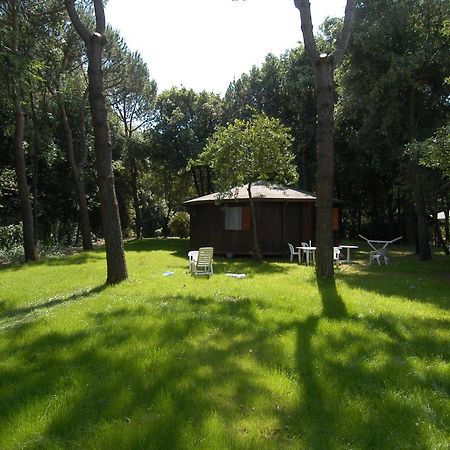 Residence Il Fortino Marina di Massa Zewnętrze zdjęcie