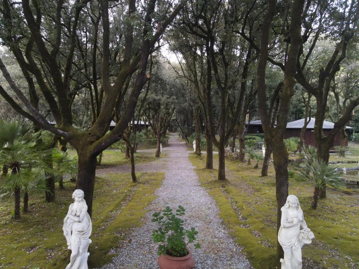 Residence Il Fortino Marina di Massa Zewnętrze zdjęcie